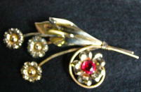 �A�N�Z�T���[,�u���[�`,�t�����[,���b�h�X�g�[��,�S�[���h