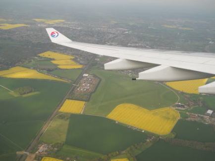 �C�M���X�����t���I�s�E�����h���E�q�[�X���[��`�֓���