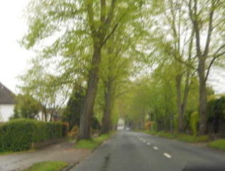 �C�M���X�����t���I�s�E�C�M���X�̒n���̒��̃A���e�B�[�N�߂���