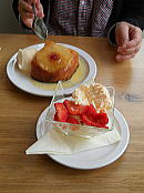 �C�M���X�����t���I�s�E�O���X�^�[�`�Ŋό��C��