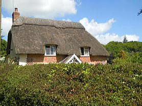 �C�M���X�����t���I�s�E�~���X�e�b�h�̏����ȑ��̃A���e�B�[�N�}�[�P�b�g��