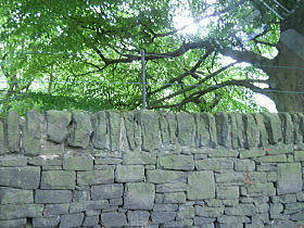 �C�M���X�����t���I�s�E���o�v�[���ւ̃s�[�N�f�B�X�g���N�g�̃h���C�u