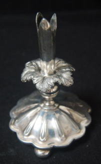 �E�����K���X, �t�����[�x�[�X,�r�N�g���A��