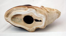 �C�M���X��,�t�B�M����, �}�E�X�i�v�[���Ёj