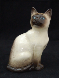 �C�M���X��,�t�B�M����,�V�����l�R,�x�Y�E�B�b�N